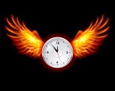 Fair_volleyball_wings