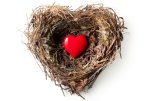 empty nest